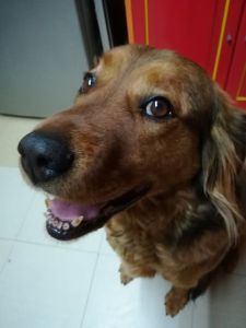 29004373_1759407430748318_740529725_n