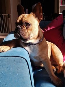 29496830_10156248101344549_5417877927079444480_n