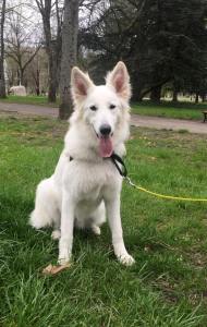 30707223_238003966746536_1000041551000240128_n